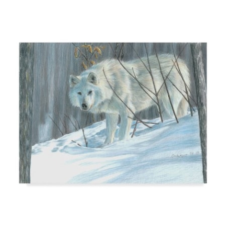Carla Kurt 'Winter Wolf In Landscape' Canvas Art,18x24